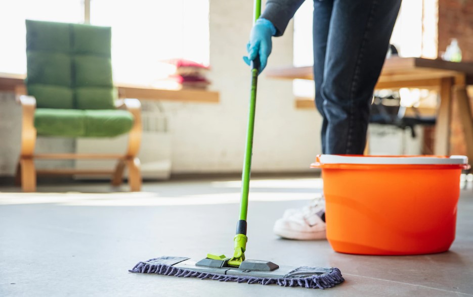 Tips Menghilangkan Bau Bangkai di Rumah